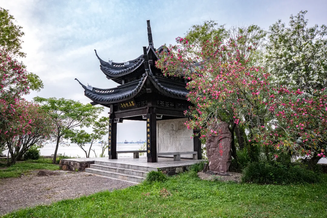 鉴真大师“狼山海”遇险记3.png